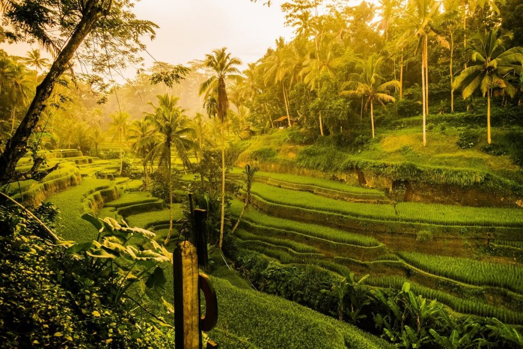 Bali Airport Transfers hire private bali driver tours for a day with english speaking driver